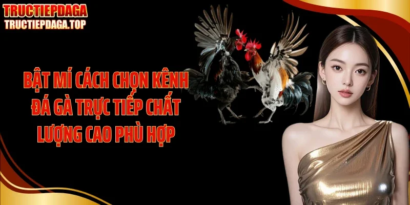 bat mi cach chon kenh da ga truc tiep chat luong cao phu hop Bật mí cách chọn kênh đá gà trực tiếp chất lượng cao phù hợp