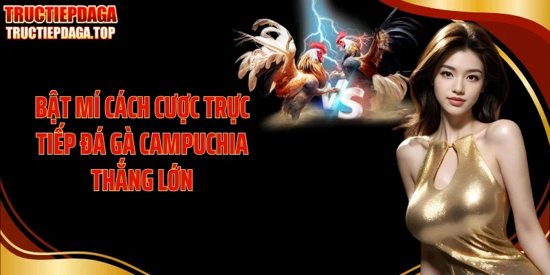 bat mi cach cuoc truc tiep da ga campuchia thang lon Bật mí cách cược trực tiếp đá gà Campuchia thắng lớn