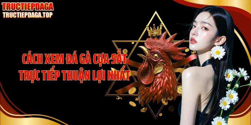 cach xem da ga cua sat truc tiep thuan loi nhat Cách xem đá gà cựa sắt trực tiếp thuận lợi nhất