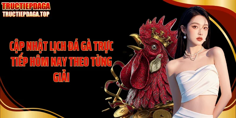 cap nhat lich da ga truc tiep hom nay theo tung giai Cập nhật lịch đá gà trực tiếp hôm nay theo từng giải
