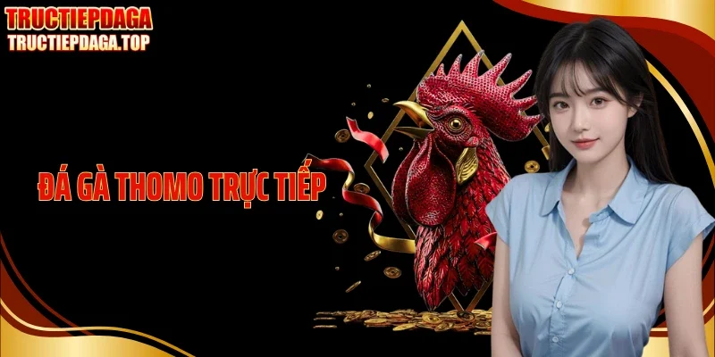 da ga thomo truc tiep thumb