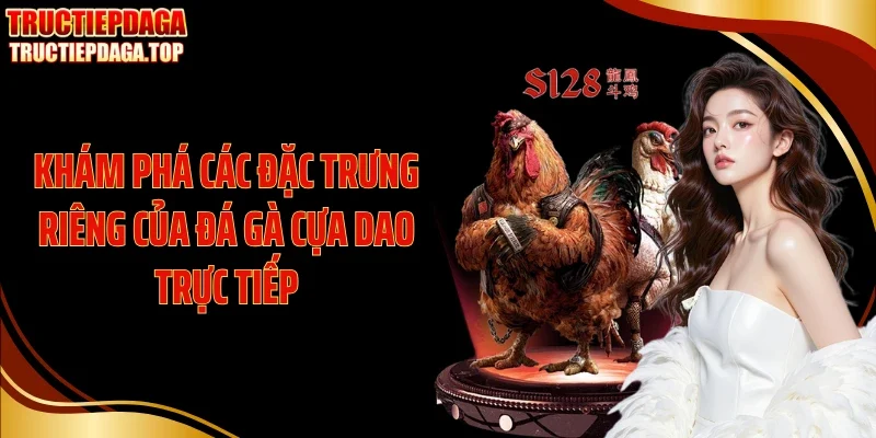 kham pha cac dac trung rieng cua da ga cua dao truc tiep Khám phá các đặc trưng riêng của đá gà cựa dao trực tiếp