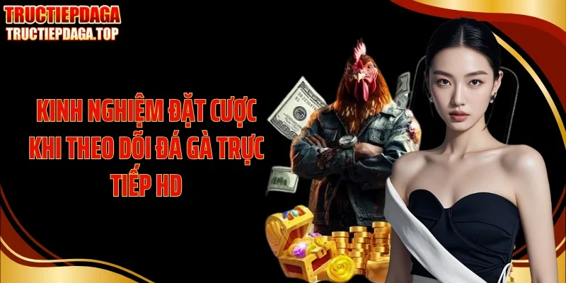 kinh nghiem dat cuoc khi theo doi da ga truc tiep hd Kinh nghiệm đặt cược khi theo dõi đá gà trực tiếp HD