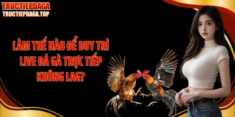 lam the nao de duy tri live da ga truc tiep khong lag Làm thế nào để duy trì live đá gà trực tiếp không lag?