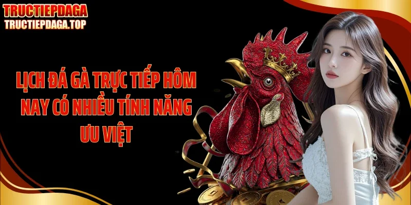 lich da ga truc tiep hom nay co nhieu tinh nang uu viet Lịch đá gà trực tiếp hôm nay có nhiều tính năng ưu việt