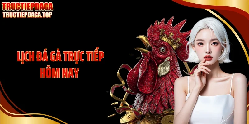 lich da ga truc tiep hom nay thumb