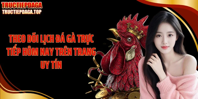 theo doi lich da ga truc tiep hom nay tren trang uy tin Theo dõi lịch đá gà trực tiếp hôm nay trên trang uy tín