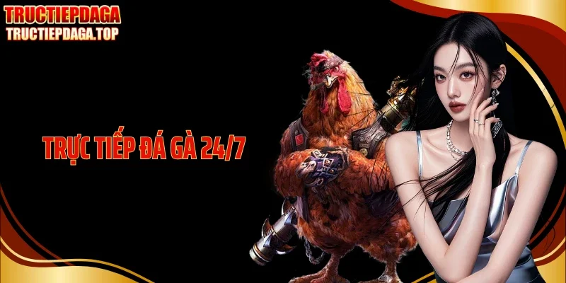 truc tiep da ga 24 7 thumb