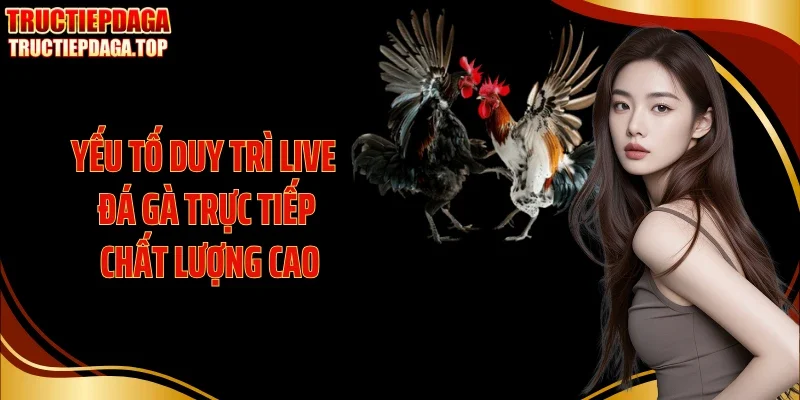 yeu to duy tri live da ga truc tiep chat luong cao Yếu tố duy trì live đá gà trực tiếp chất lượng cao