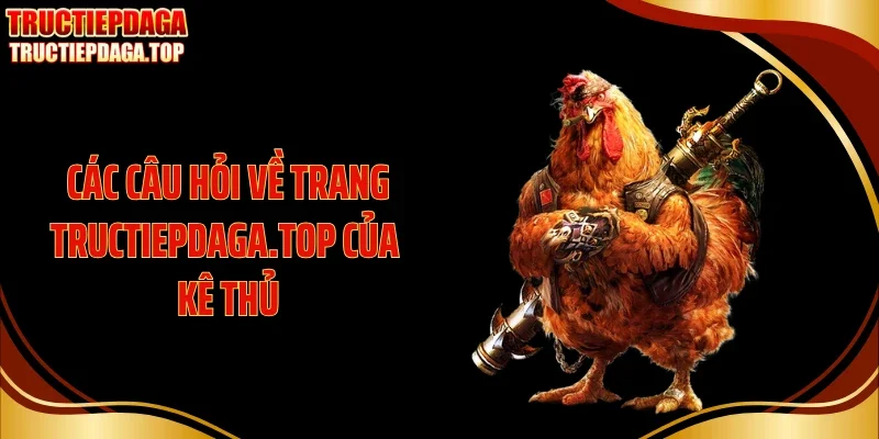 cac cau hoi ve trang tructiepdaga top cua ke thu Các câu hỏi về trang heishengao.com.tw của kê thủ