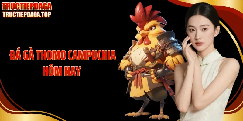 da ga thomo campuchia hom nay thumb