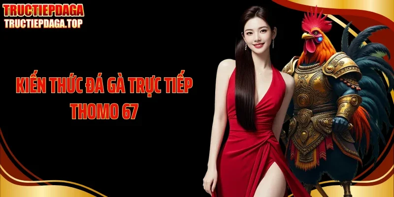 kien thuc da ga truc tiep thomo 67 thumb